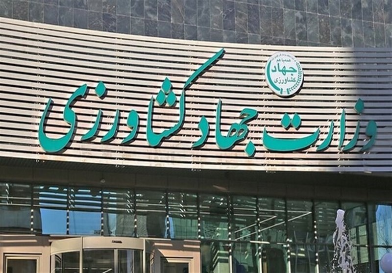 وزارت جهاد کشاورزی: «برنجی به دریا نرفت»، فرایند ترخیص بی‌وقفه ادامه دارد