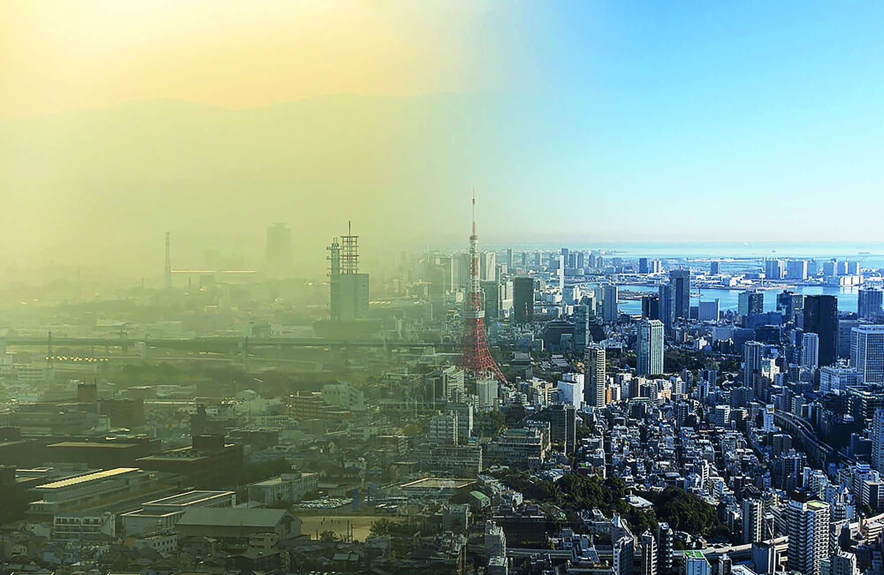 جذب دی‌اکسیدکربن هوا توسط ساختمان‌ها و جاده‌ها