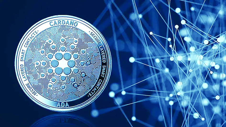 جهش ۱۰‌درصدی کاردانو