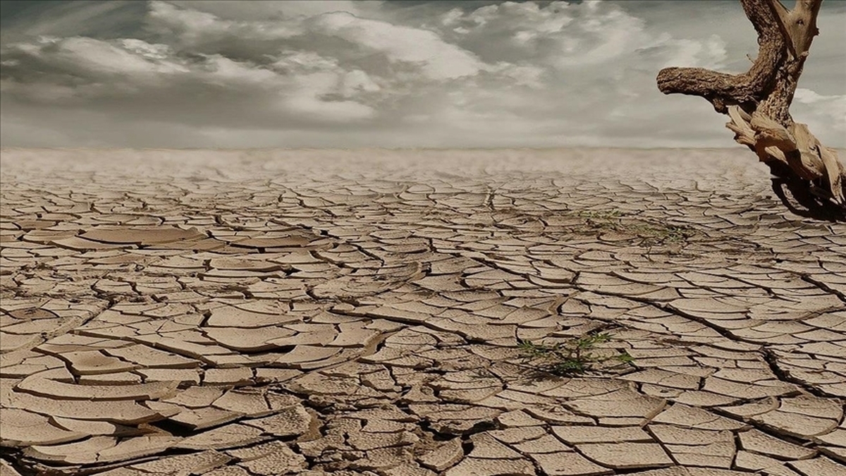 تغییر اقلیم؛ شمال کشور هم دیگر در مأمن نیست؟