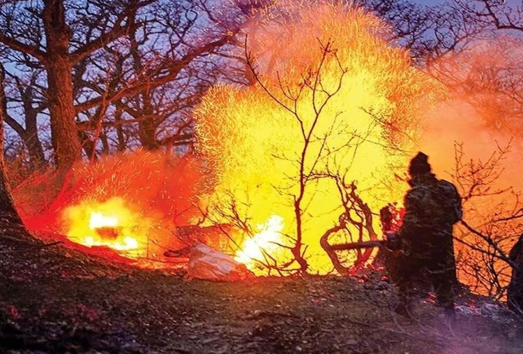 واکنش محیط زیست به اتهام آتش‌سوزی در جنگل‌های الیت؛ موضوع را سیاسی نکنید