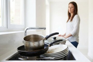 سینک آشپزخانه، مرکز پرورش باکتری‌های مرگبار