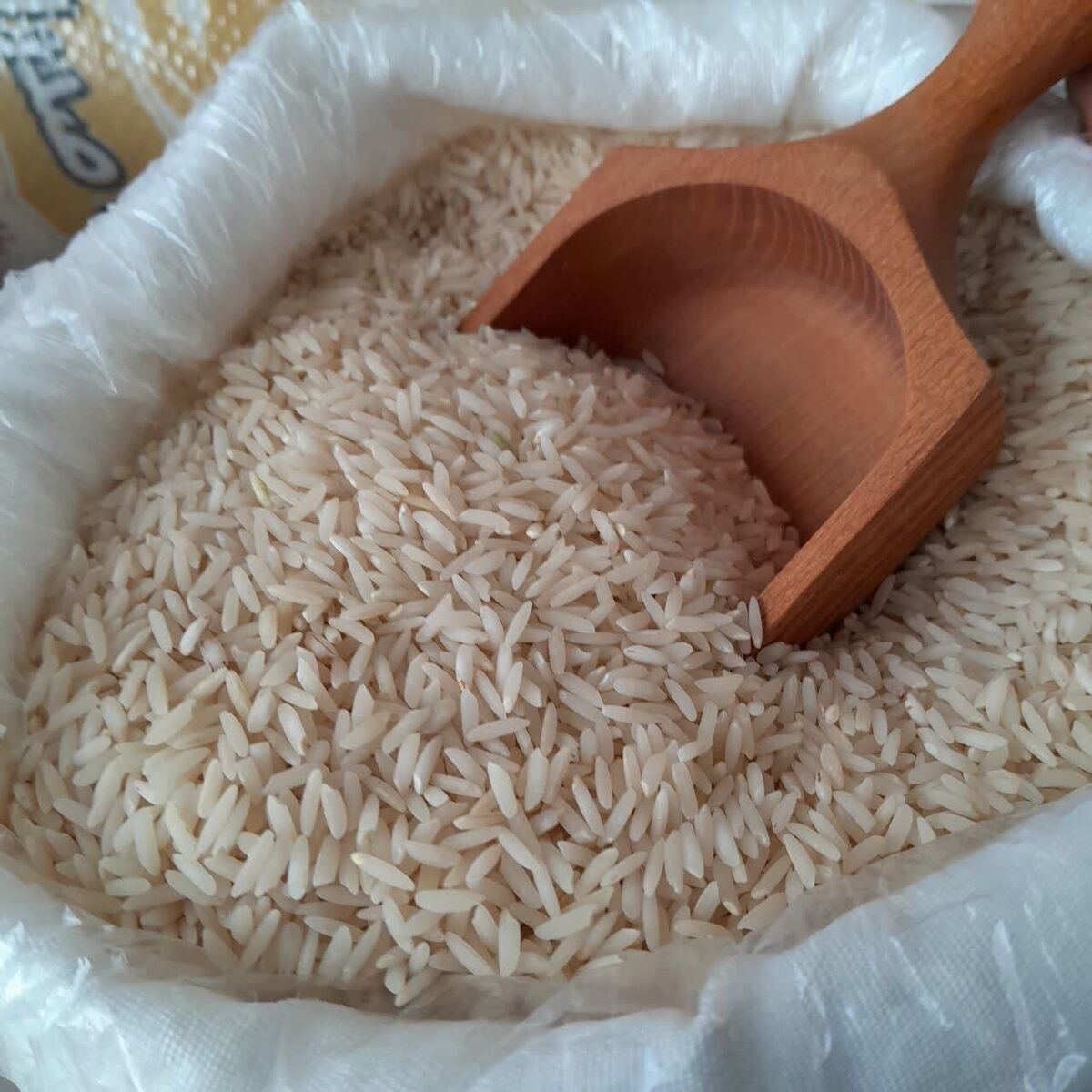 برنج طارم و هاشمی رکورد زدند؛ ۳۲۰ هزار تومان برای هر کیلو