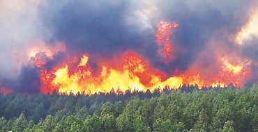 طبیعت ایران گرفتار آتش بی‌تدبیری