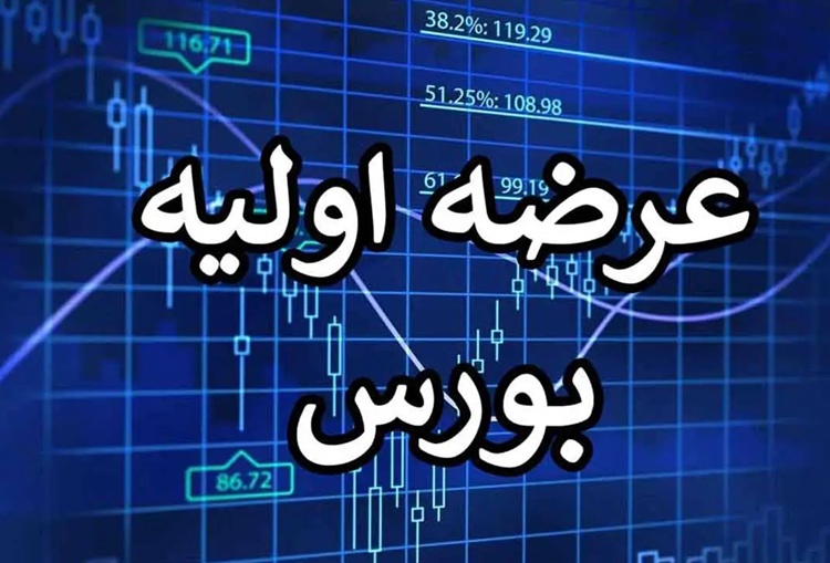 عرضه اولیه جدید در راه فرابورس؛ استراتژی ترکیبی هانیکو سود بیشتری می‌دهد؟