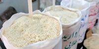 ورق در بازار برنج برگشت؛ قیمت‌ها در مسیر سقوط تا ۱۰۰ هزار