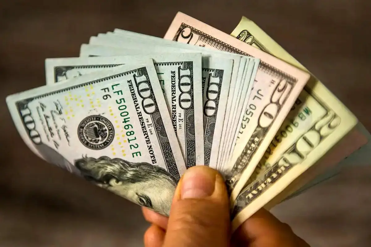 سیگنال نگران‌کننده معاون اسبق بانک مرکزی: دولت توان کنترل قیمت دلار را ندارد