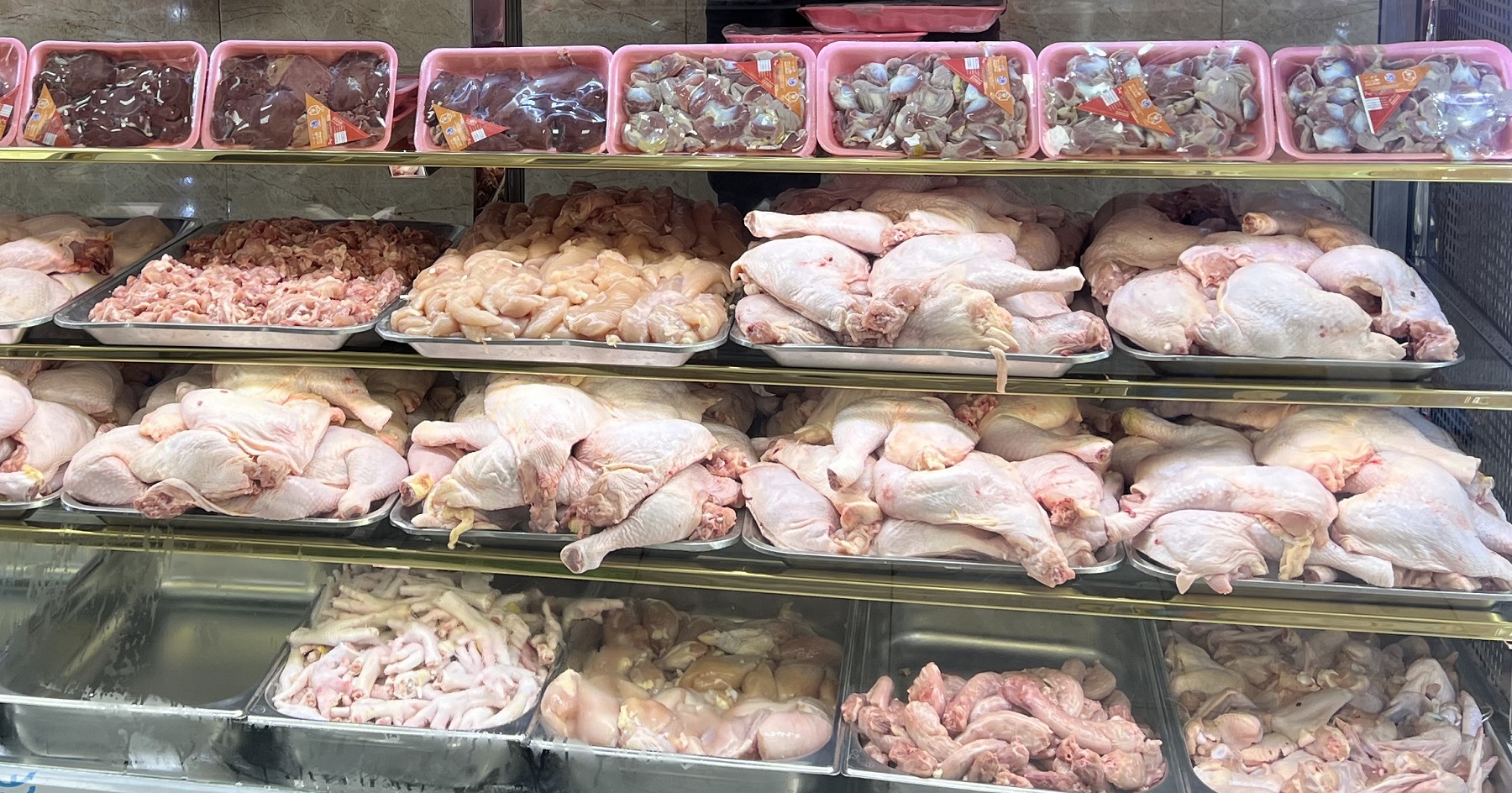 مرغ از جهش عقب نشست، از ثبات عبور نکرد