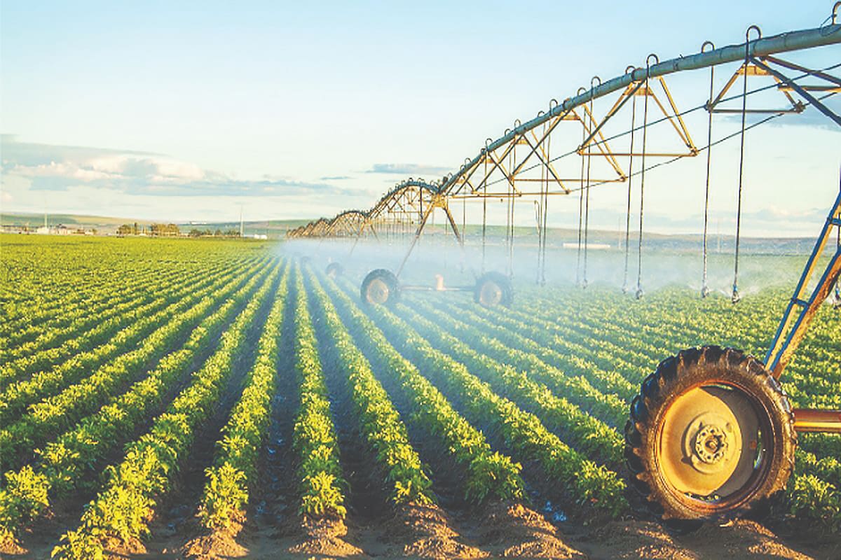 محبوبیت هوش مصنوعی در میان کشاورزان