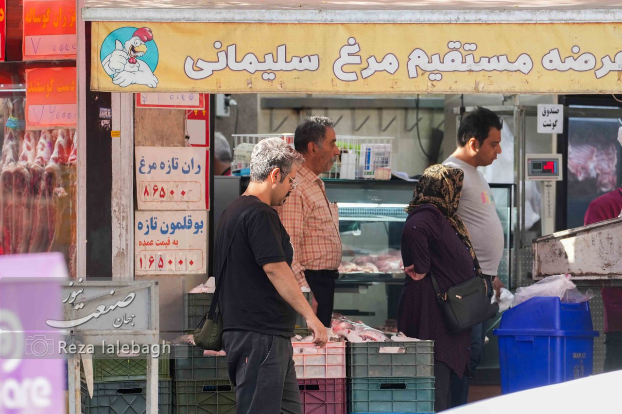 تولید مرغ به صفر رسید؛ کمبود قطعی مرغ در ماه رمضان تایید شد