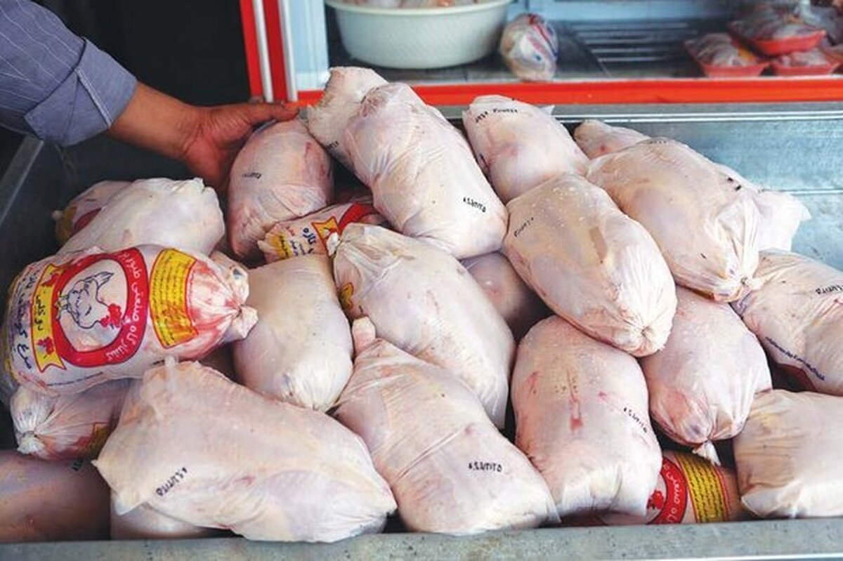 تولید مرغ وارد فاز اضطراری شد؛ مرغداران منتظر تضمین دولت هستند