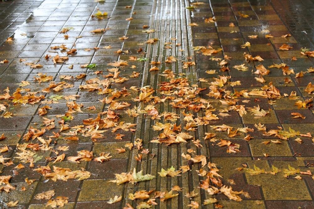 تداوم بارش‌ها و اختلالات جاده‌ای: آمادگی برای روزهای بارانی