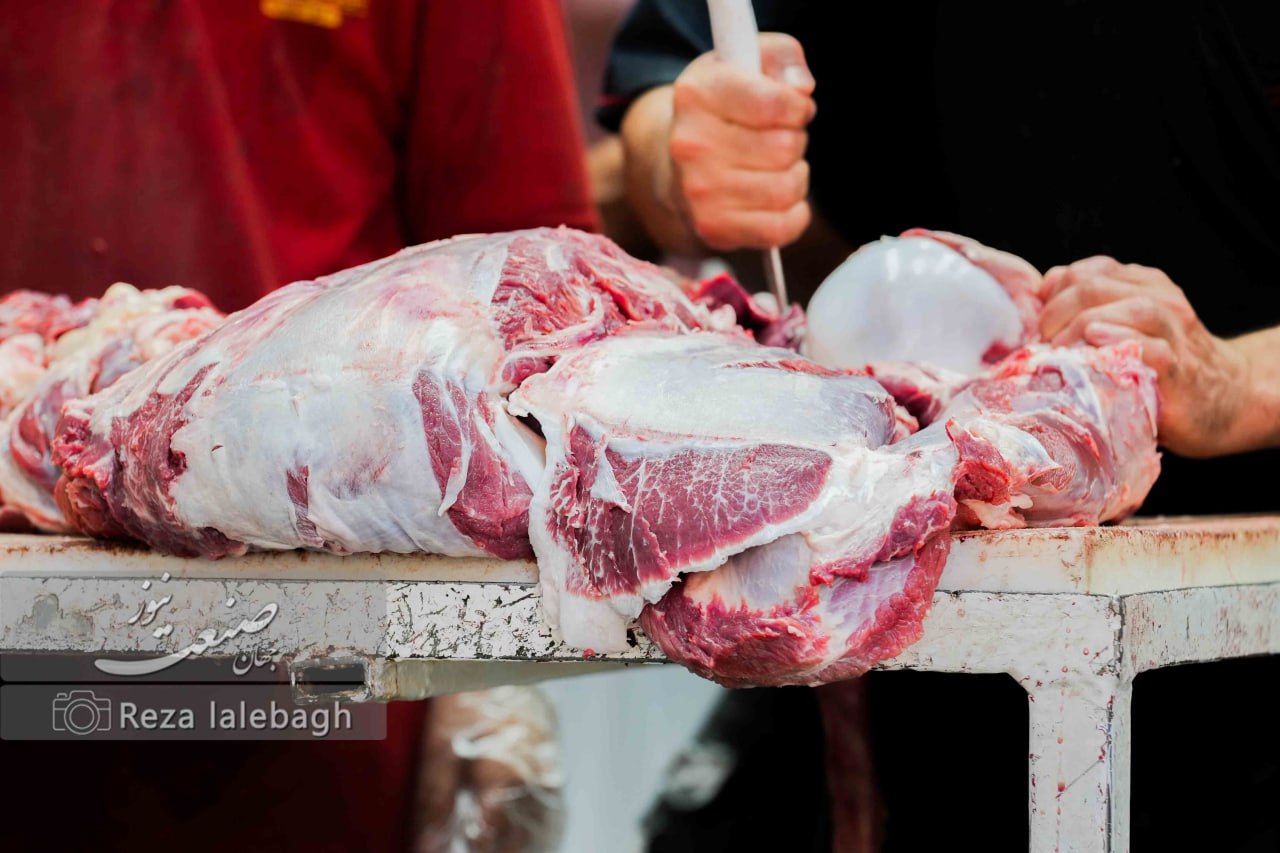 شوک ارزی به سفره مردم؛ واردات گوشت ۶۰ درصد سقوط کرد