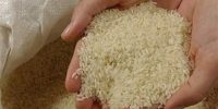 وعده کاهش قیمت برنج