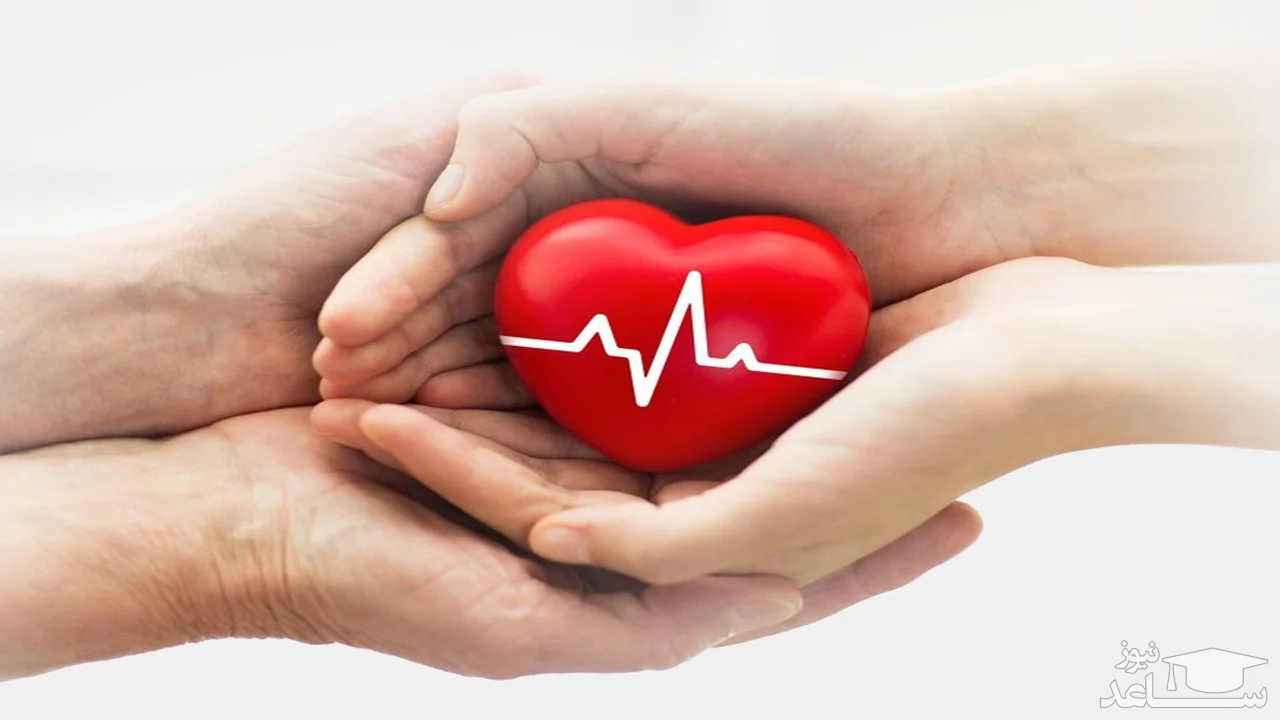 قلب‌های پیوندی سیگنال تازه دادند؛ خلق‌وخو و هوس‌ها دگرگون شد