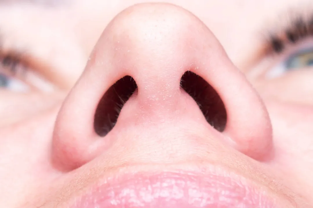 راز تقارن بدن آشکار شد؛ دو سوراخ بینی، محافظ نامرئی دستگاه تنفسی