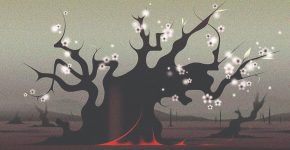 چرخه مشترک فروپاشی