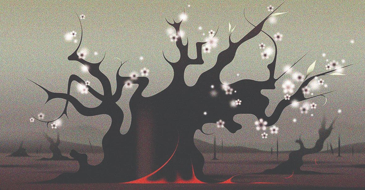 چرخه مشترک فروپاشی