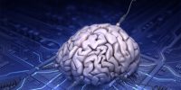 کامپیوترهای ساخته‌شده از مغز انسان در راهند