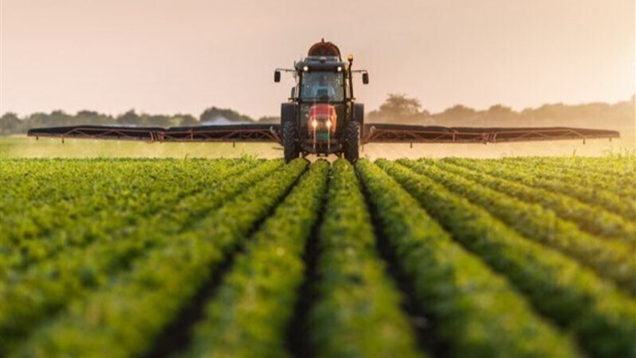 وزارت جهاد کشاورزی بستر کشت فراسرزمینی را فراهم کرد