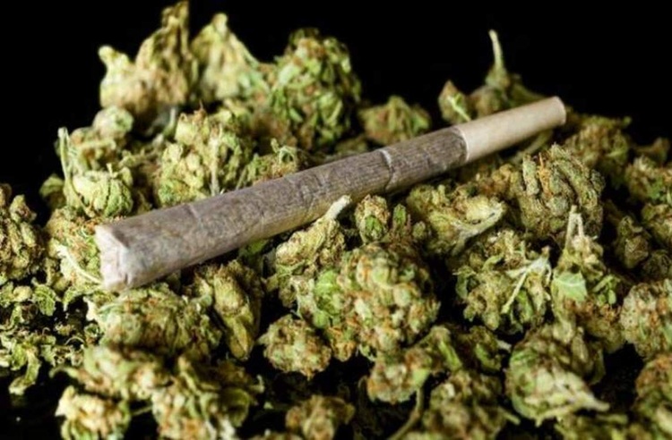 توضیحات معاون مبارزه با موادمخدر درباره آزادسازی کشت گل در کشور