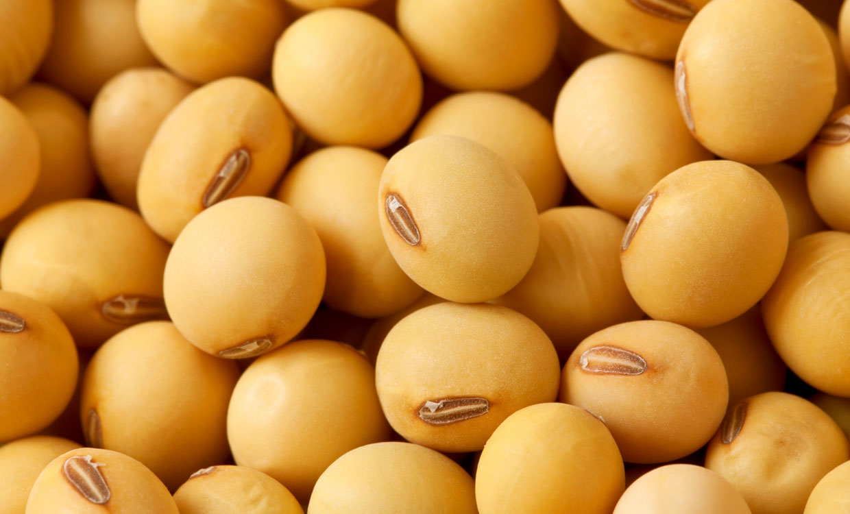 توزیع نهاده‌های دامی هنوز به اندازه مورد نیاز انجام نشده است