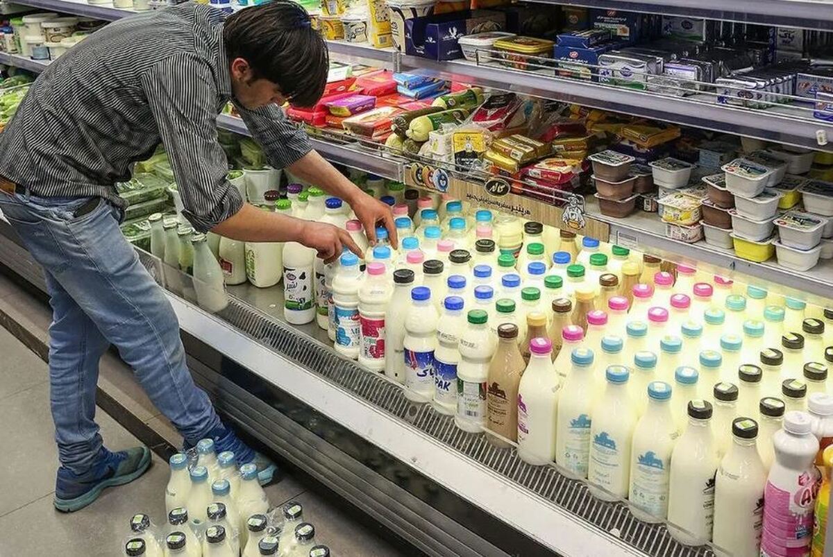برخورد قاطع با گران‌فروشی لبنیات ادامه دارد
