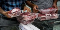 کشف ۳ تن گوشت غیرمجاز در تهران؛ فروش گوشت الاغ با لیبل‌های جعلی گوساله