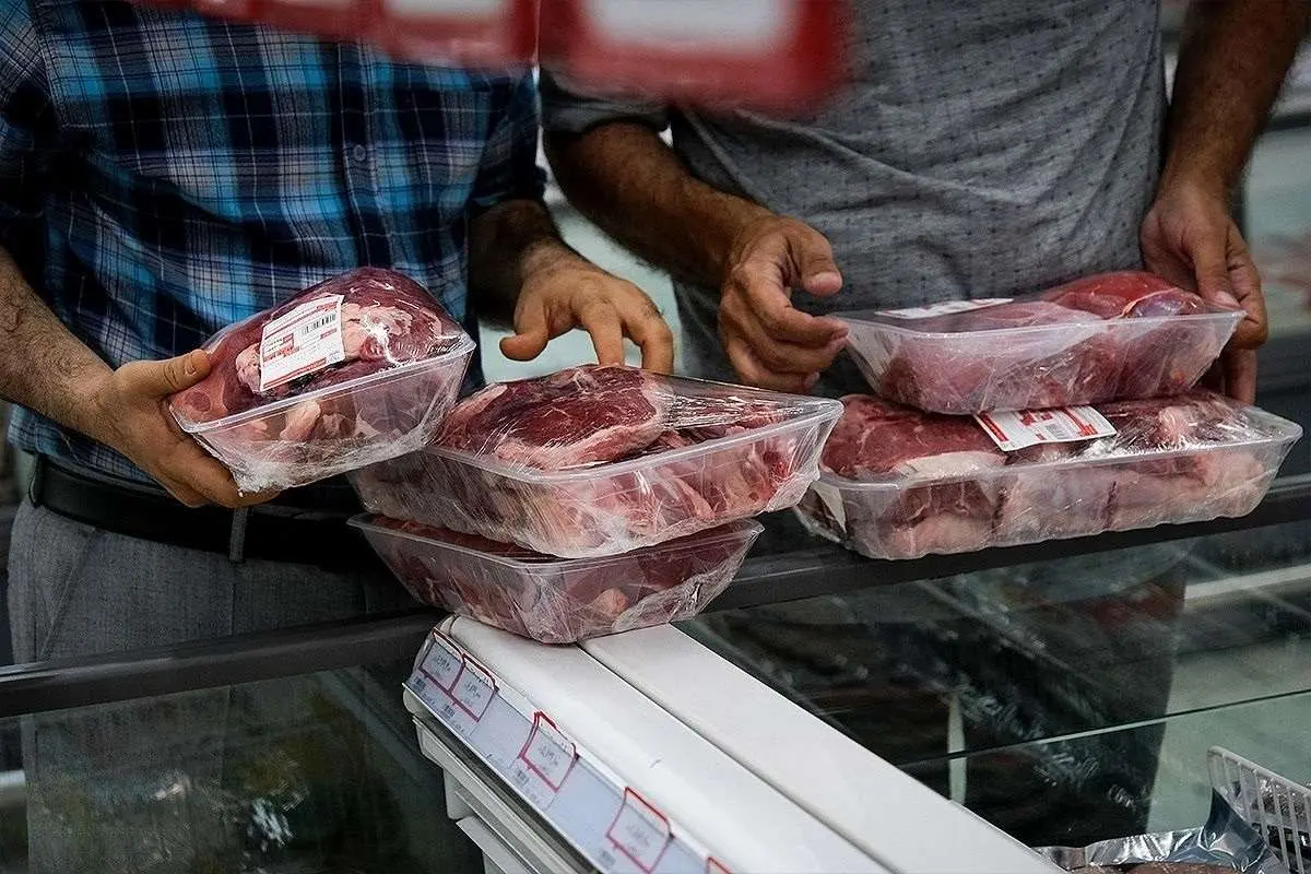 کشف ۳ تن گوشت غیرمجاز در تهران؛ فروش گوشت الاغ با لیبل‌های جعلی گوساله