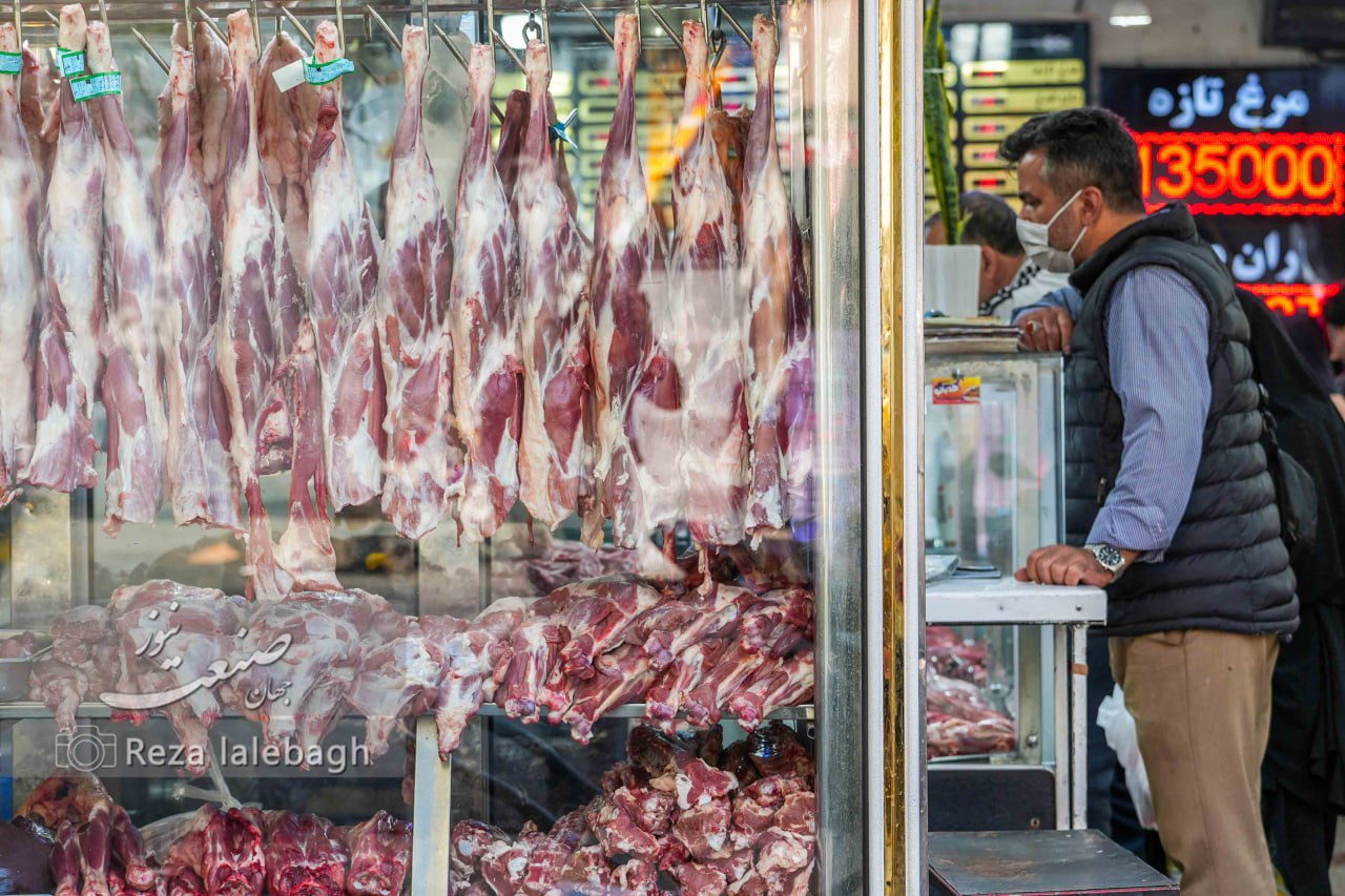 گوشت گرم دولتی وارد بازار شد؛ مخلوط گوساله فقط کیلویی ۷۰۰ تومان