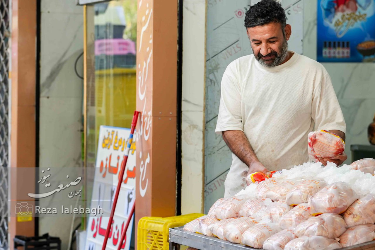 هشدار نهایی به دولت: بازار شب عید بدون مرغ می‌ماند؟