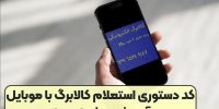 نحوه استعلام اعتبار کالابرگ الکترونیکی اعلام شد