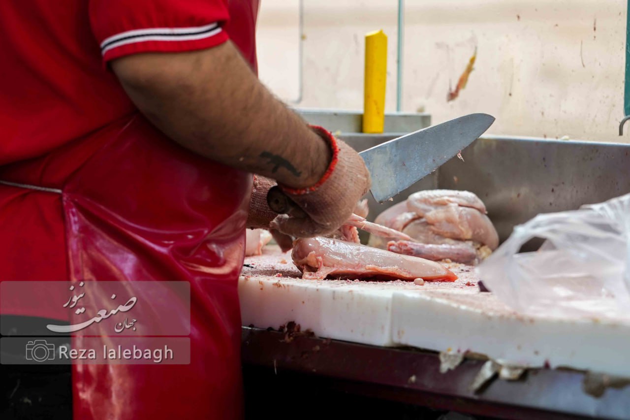 مرغ ۱۳۲ هزار تومانی وارد بازار شد؛ امکان خرید با کالابرگ