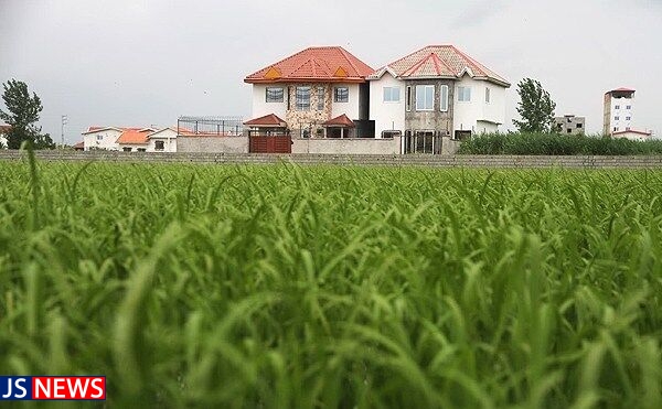 خرسندی: زمین‌های کشاورزی تا ۳ سال آینده سنددار می شوند