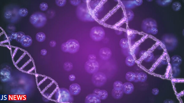 پایان مصرف روزانه قرص کلسترول با اصلاح ژنتیکی