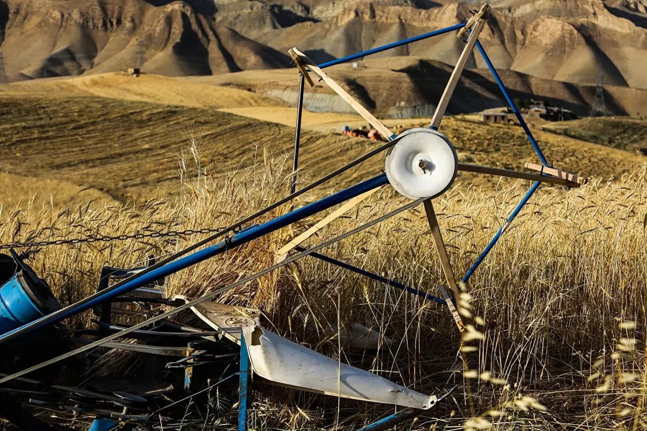 قیمت خرید تضمینی گندم با شرایط جدید همخوانی ندارد