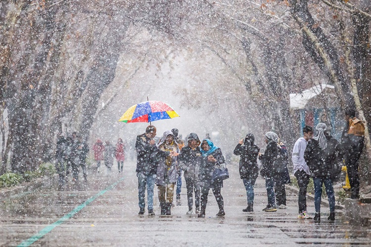 هشدار هواشناسی؛ از جمعه این استان‌ها منتظر برف و باران باشند