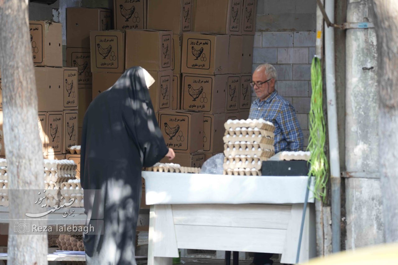 قیمت تخم مرغ در فروشگاه‌های زنجیره‌ای ۴۵۰ هزار تومان / کاهش مصرف تخم مرغ تا پایان سال