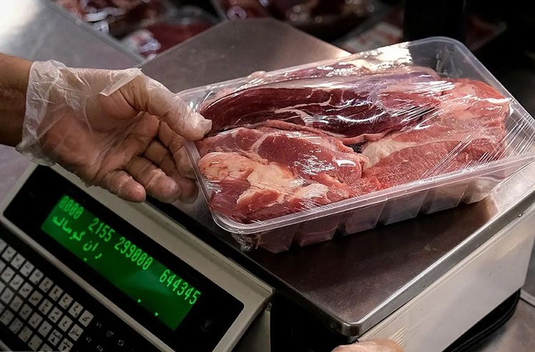 زنگ هشدار در دامداری‌ها؛ تداوم کشتار دام مولد و افزایش قیمت‌ها