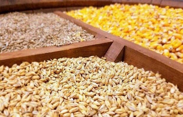 هفت هزار تن نهاده دامی در خراسان شمالی تامین شد