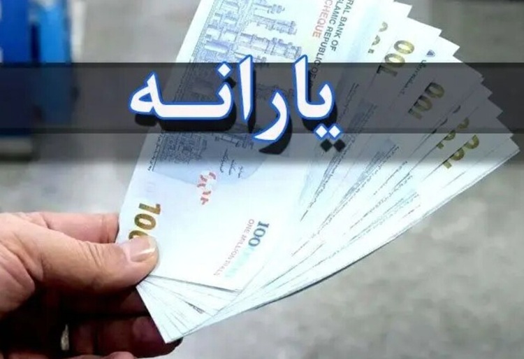 احمدنیا خبر داد: ۱۱ قلم کالای اساسی در ۲۰ هزار فروشگاه برای مردم آزاد شد