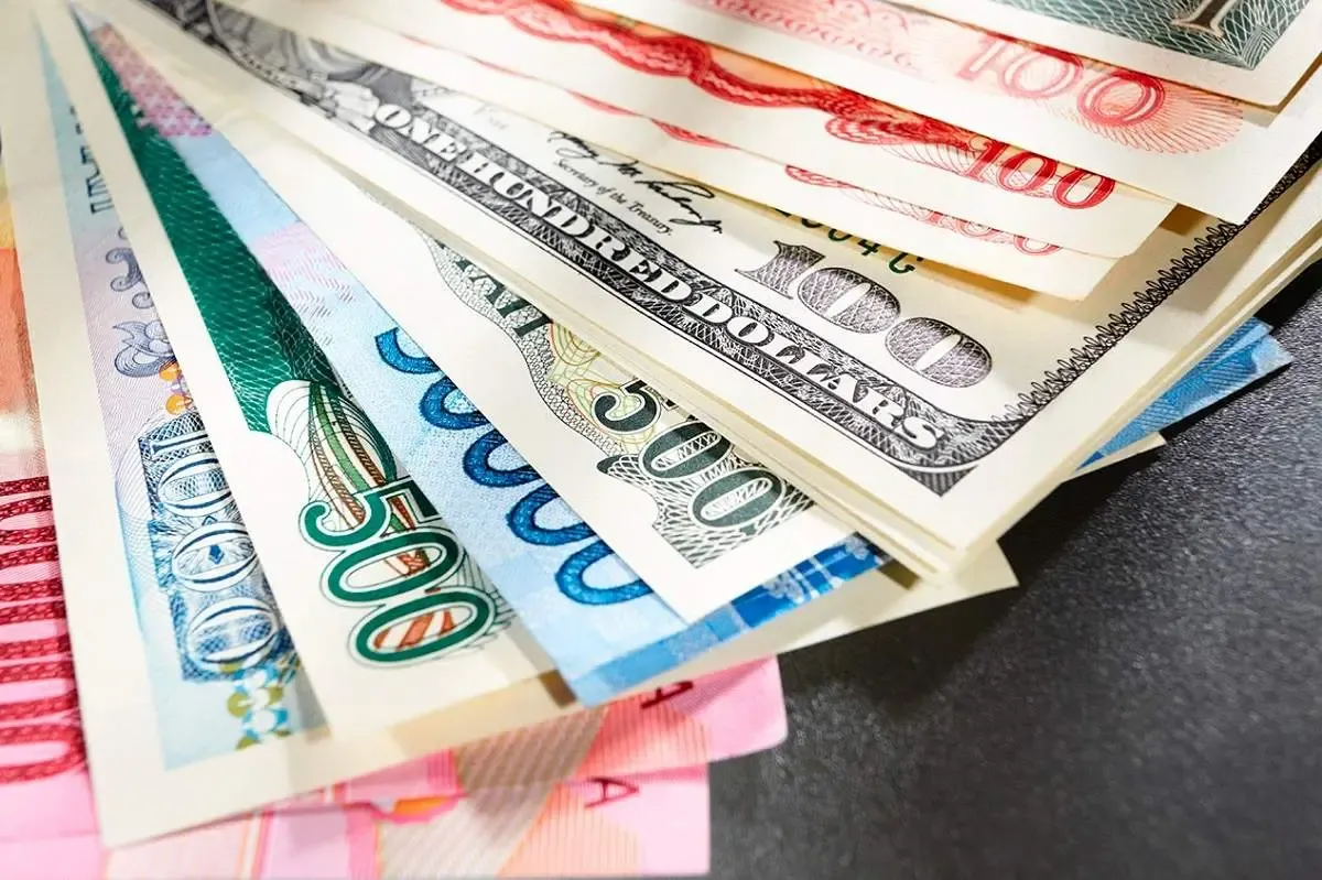 اصلاحات ارزی برای اقتصاد ایران ضروری بود/ حمایت از اقشار ضعیف بیشتر شود