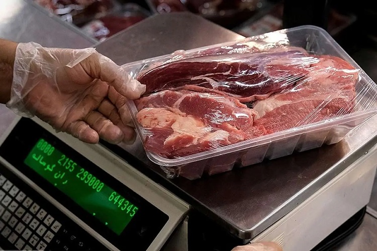 عرضه گوشت قرمز با واردات از همسایگان شمالی بیشتر می شود