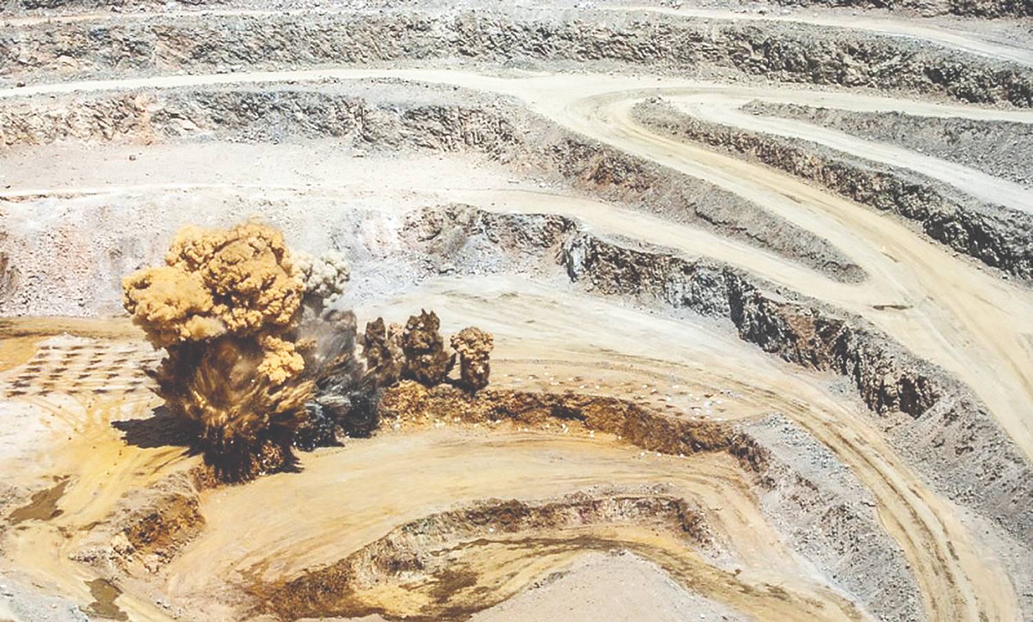 برگ برنده یا ریسک تازه؟