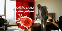 بهترین شرکت های سمپاشی ساس تهران با ضمانت کتبی