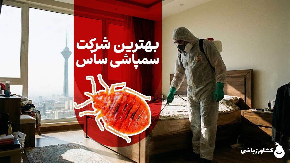 بهترین شرکت های سمپاشی ساس تهران با ضمانت کتبی