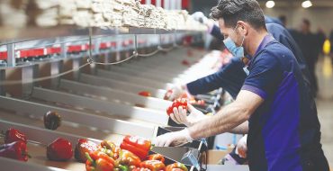 تامین امنیت غذایی پایدار در گرو واردات!