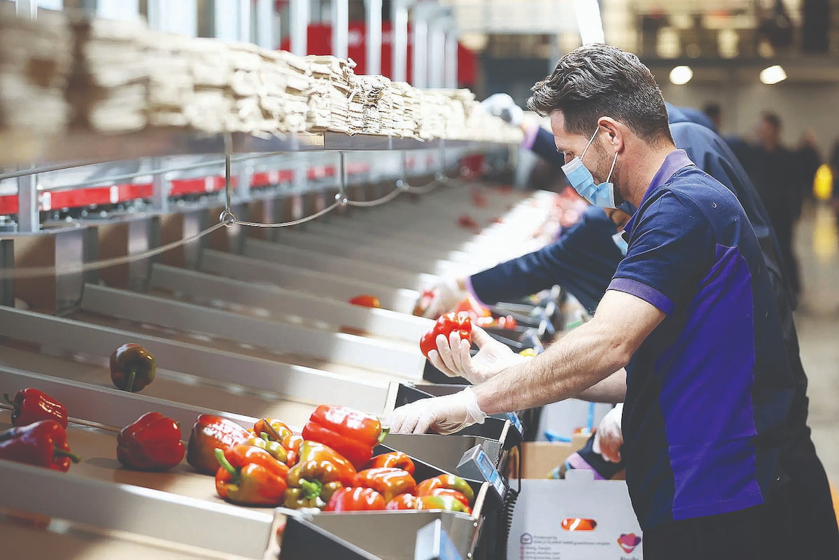 تامین امنیت غذایی پایدار در گرو واردات!