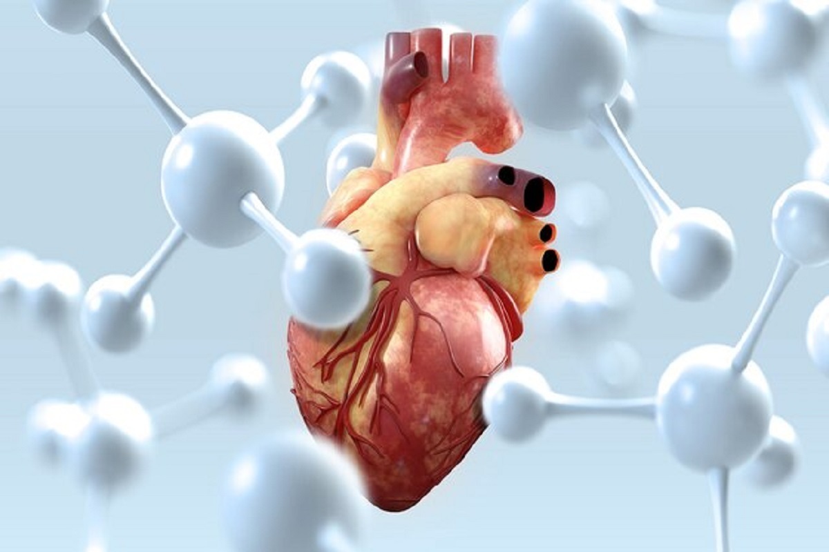 شادی و تغذیه سالم، کلید تقویت قلب از نگاه طب ایرانی