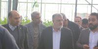 توسعه گلخانه‌ها یکی از محورهای اصلی امنیت غذایی استان تهران است